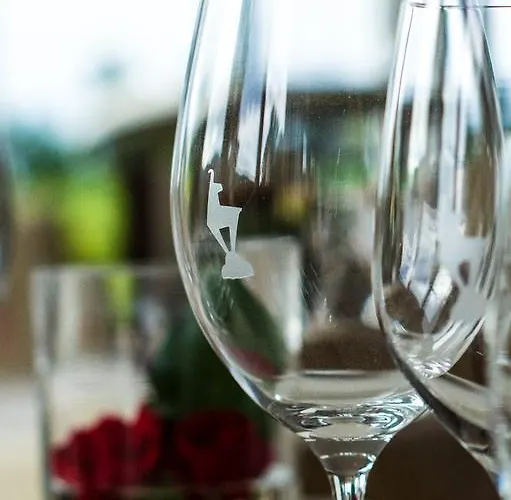 比奇尔霍夫运动疗养酒店 酒店 基茨比厄尔